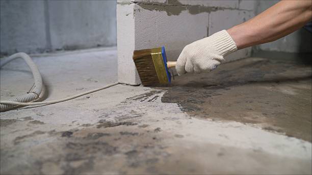 Top rated local Wet Basement Repair specialists in Barboursville, VA